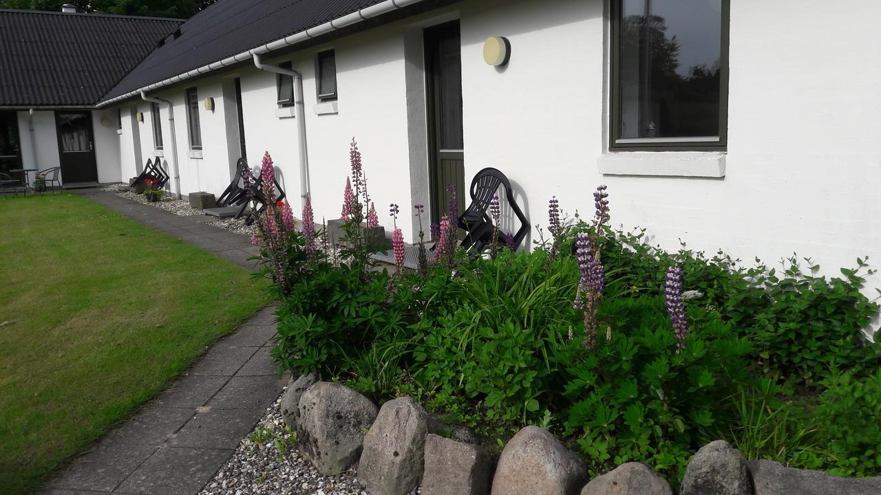 Lyngbjerggaard Ferieboliger - B&B Fjerritslev Exterior foto